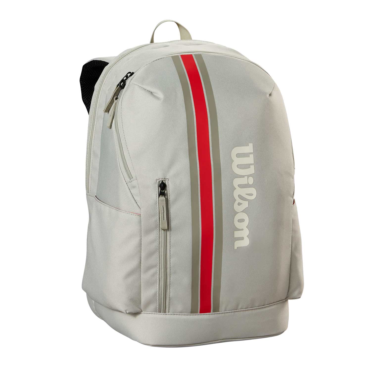 Team Backpack Grey 2025
